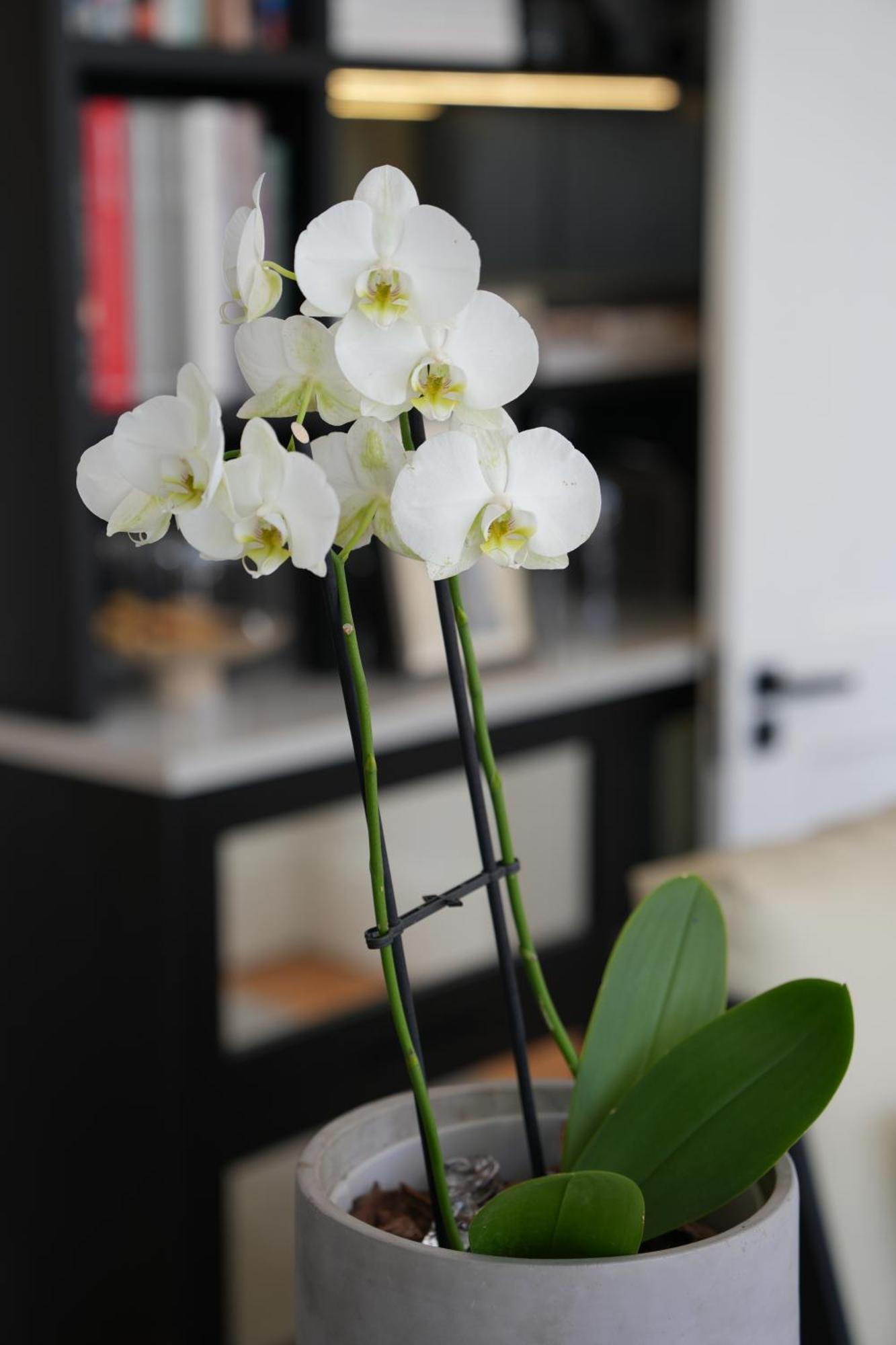 Ame By Noah Hotel Kaapstad Buitenkant foto